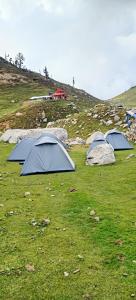 达兰萨拉Hills View Cafe & Camping的三个帐篷坐在田野里