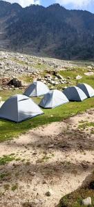 达兰萨拉Hills View Cafe & Camping的一组帐篷坐在田野里