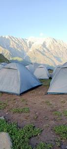 达兰萨拉Hills View Cafe & Camping的山地的一组帐篷