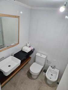 圣卡洛斯-德巴里洛切Monoambiente a estrenar en Bariloche的一间带卫生间、水槽和镜子的浴室