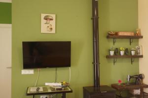埃尔卡斯蒂略德拉斯瓜尔达斯Villa Saudade, casa entre encinas的客厅设有一台平面电视,位于绿色的墙壁上