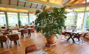 布兰肯堡Harz Hotel Vogelberg的配有桌椅的房间的大植物