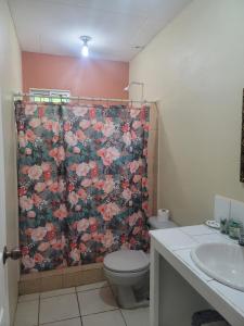 Coxen HoleB Aparts Hotel的浴室设有淋浴帘、卫生间和水槽