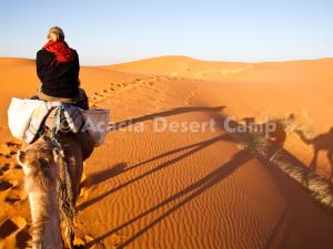 梅尔祖卡Acacia Desert Camp的骑骆驼的人