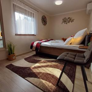 韦赖谢吉哈兹Dénár Apartman的一间卧室配有一张床、一把椅子和地毯
