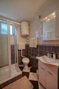 扎通Apartmani Antony的浴室配有卫生间、淋浴和盥洗盆。