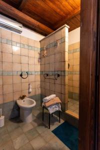 Civitella dʼAglianoYour luxury room Civitella的浴室配有卫生间、淋浴和盥洗盆。