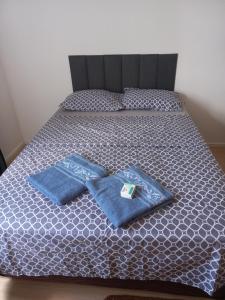 ParanoáApartamento的床上有两条蓝色的毛巾