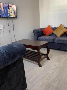 TezoVipingo Nomadic Apartment的客厅配有咖啡桌和沙发