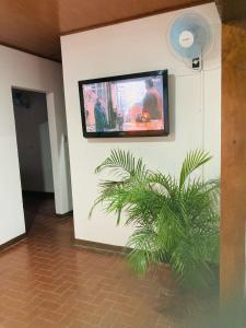 利比里亚Hostel Casa Mar的墙上的电视,在房间里放着植物