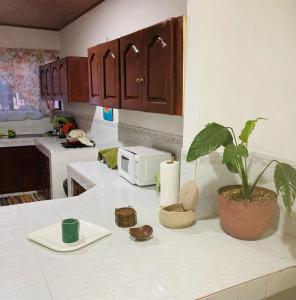 利比里亚Hostel Casa Mar的一个带植物和微波炉的厨房台面