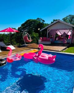 坎波斯杜若尔当Pousada Pink Village的游泳池里的一组粉红色火烈鸟