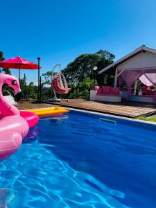 坎波斯杜若尔当Pousada Pink Village的一个带充气泳池