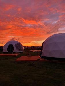 维特蒙德Lodge Camp Harlesiel direkt am Wattenmeer的两顶帐篷位于田野,背景是日落