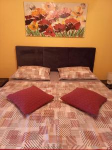 比利切Apartmani Corleone的一张带两个枕头的床和墙上的绘画