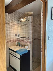 Créon-dʼArmagnacL'Escafouchot de Moulère的浴室配有盥洗盆和带镜子的淋浴