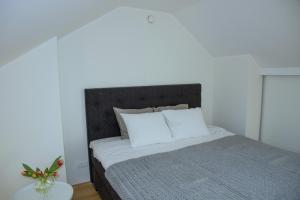 塔尔图Baeri Residence的卧室配有带白色枕头的大床
