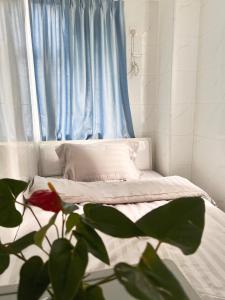 香港Waveflo Hostel 浪花青旅的一间卧室配有一张蓝色窗帘的床