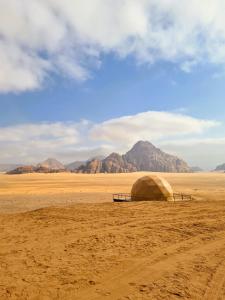 瓦迪拉姆Daniela Camp Wadi Rum的沙漠中的帐篷,以群山为背景