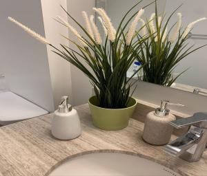 多伦多Toronto Premier INN的浴室水槽设有2个肥皂分配器和1个植物
