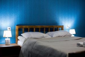 安布罗劳里ციბენა • Tsibena的一间卧室配有一张蓝色墙壁的床和两盏灯。