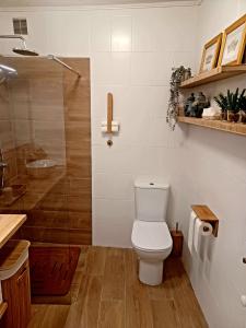 Casa Alba的一间带卫生间和淋浴的浴室