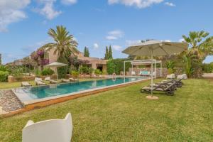 布格Buger - 3070 Mallorca的一个带草坪椅和遮阳伞的游泳池
