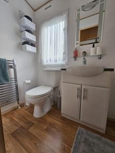 TossideVacanza Static Caravan的白色的浴室设有卫生间和水槽。