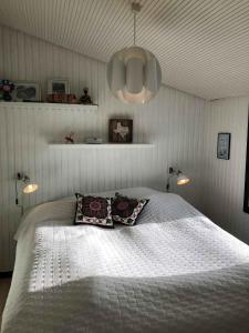 阿森斯Funen Cottage With Fantastic Sea View,的一间卧室配有一张带两个枕头的床