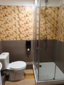里加Sofijas Rooms的一间带卫生间和玻璃淋浴间的浴室