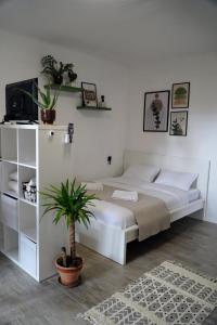KomenComfortable Apartment & Studio in Village Centre的卧室配有白色大床和植物