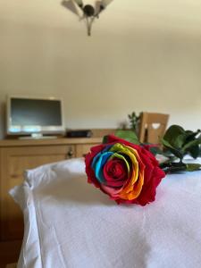 奥瓦罗艾波利斯酒店的床上坐着一朵五彩缤纷的玫瑰