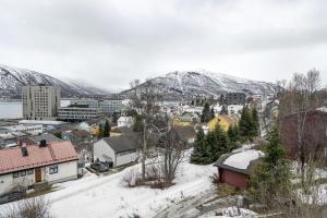 特罗姆瑟Boukersen Heim的一座被雪覆盖的小镇,以群山为背景