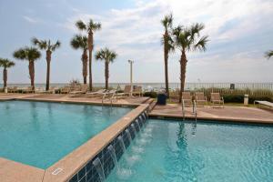 巴拿马城海滩Sterling Reef Beach Resort的一座棕榈树和椅子的大型游泳池