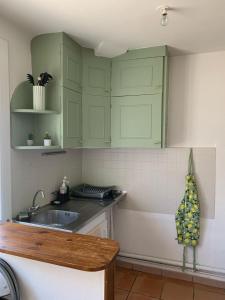 艾马尔格Studio cosy avec clim 33m2的厨房配有绿色橱柜和水槽