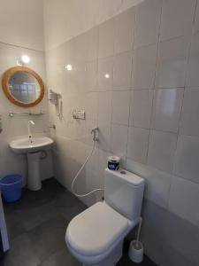 南威Babalao Bungalows的一间带卫生间和水槽的浴室