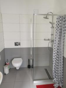 弗罗茨瓦夫Bemma Apart Hostel的带淋浴和卫生间的浴室