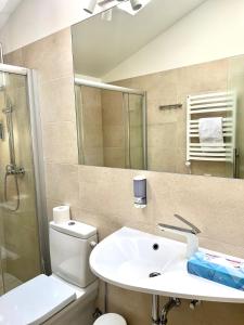 克莱佩达Dangė Hotel的一间带水槽、卫生间和镜子的浴室