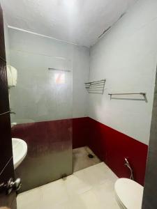 阿格拉Hotel Urban Zip的一间带卫生间和水槽的浴室