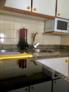 圣地亚哥－德孔波斯特拉Apartamento O Castro的厨房柜台设有水槽和微波炉