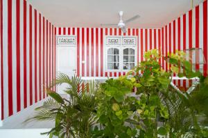乌鲁瓦图Ria Uluwatu, Tropical Chic Hotel的一间拥有红色和白色条纹墙壁和植物的房间
