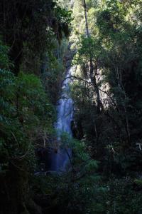 伊塔蒙蒂Vila do Mago的森林中树木的瀑布