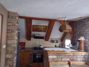 蒂科钦Loft 'PRL'的厨房设有砖墙和炉灶。