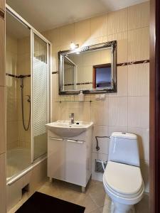 扎科帕内willa Calvados的浴室配有卫生间、盥洗盆和淋浴。