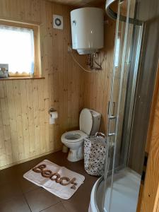 CieciorkaDomki Letniskowe Nad Jeziorem Kazub的一间带卫生间、淋浴和毛巾的浴室