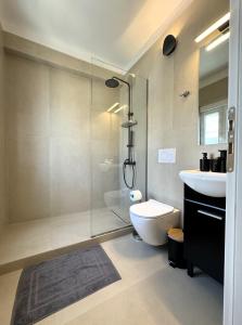 比雷埃夫斯Piraeus center sea view apartment的带淋浴、卫生间和盥洗盆的浴室