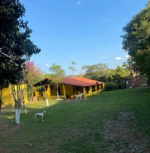 尤西德福拉Casa amarela的院子里有一只黄色房子,有一只狗