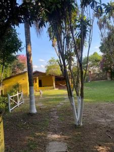 尤西德福拉Casa amarela的一群树木在院子里,有房子