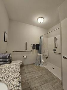 罗切斯特2 Bedroom 2 Bathroom New Apartment Close To Mayo!的带淋浴和卫生间的浴室