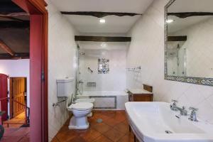 布拉加Casa da Pedra Cavalgada的浴室配有卫生间、浴缸和水槽。
